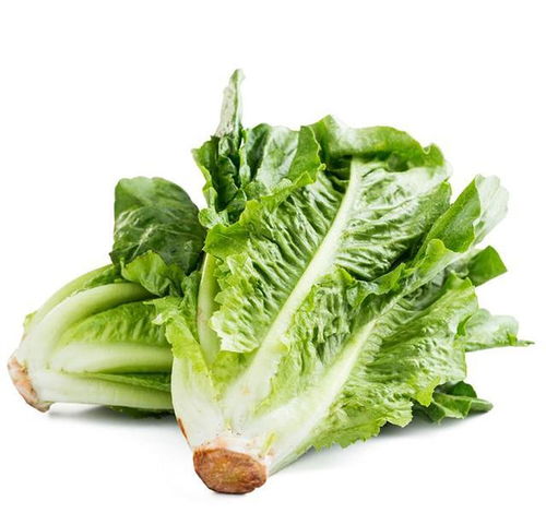 家長(zhǎng)們看過(guò)來(lái) 這四種食物給孩子吃，好消化更長(zhǎng)個(gè)